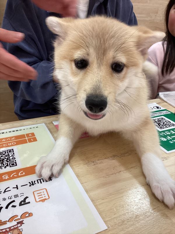写真
