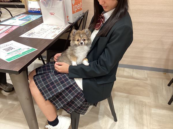 写真