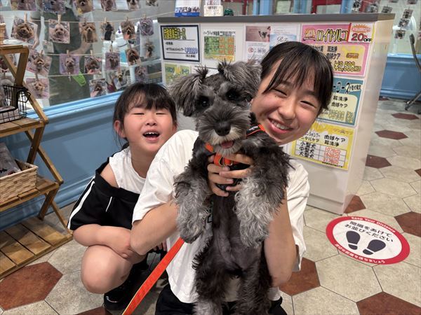 写真