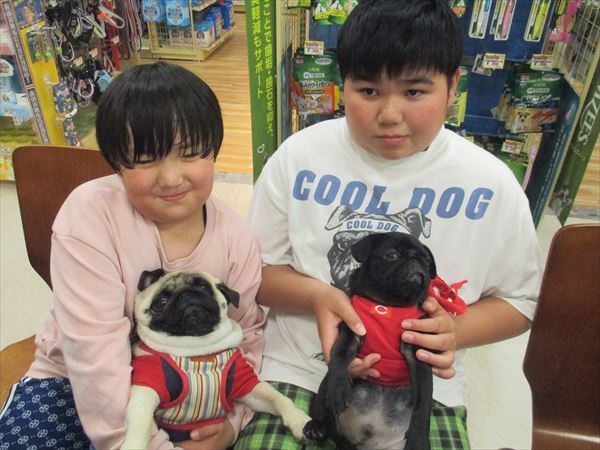 写真