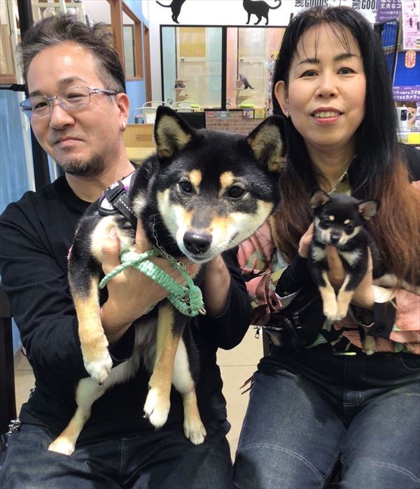 写真