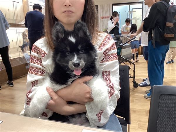 写真