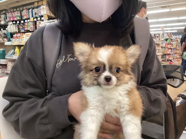 写真