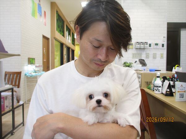 写真