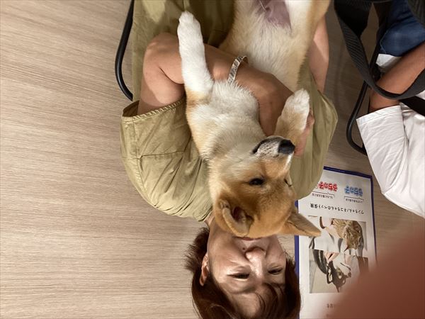 写真