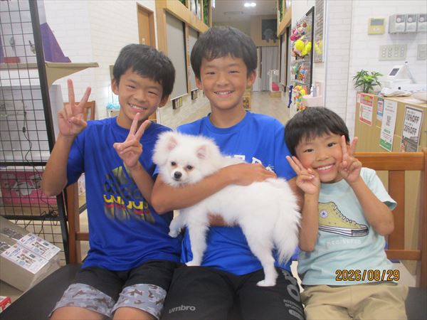 写真