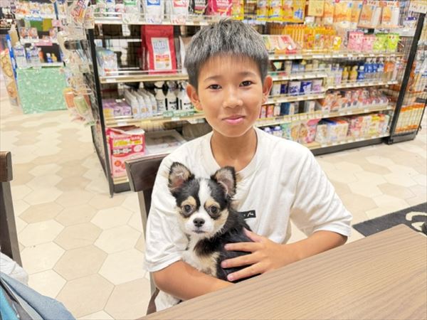 写真