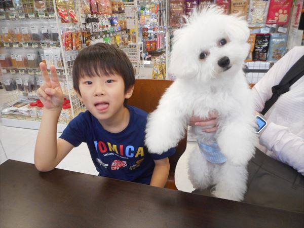 写真
