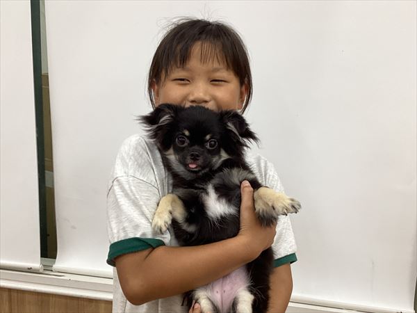 写真