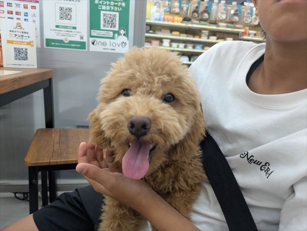 写真