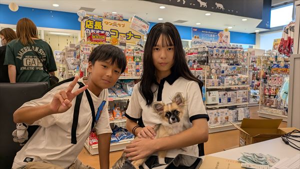 写真