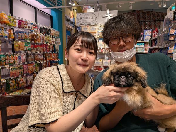 写真