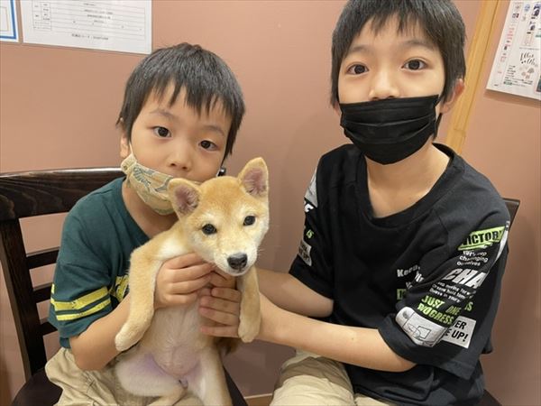 写真