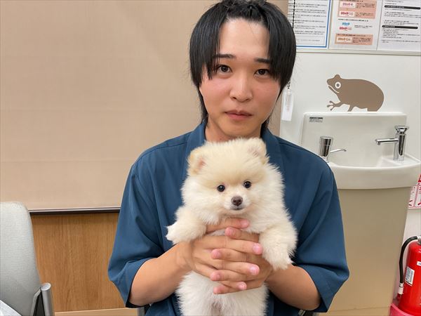 写真