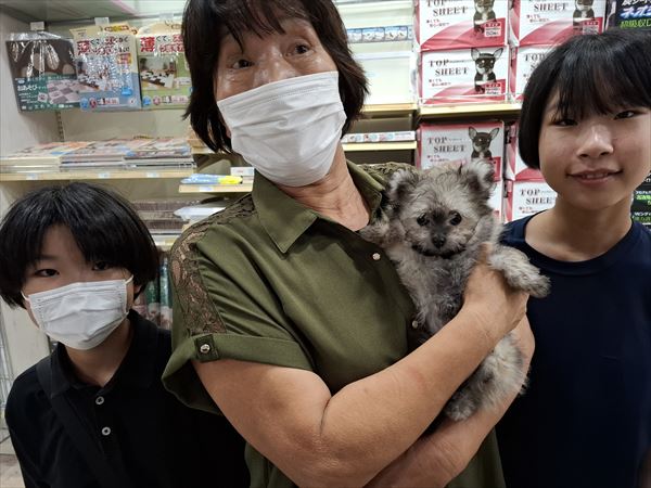 写真