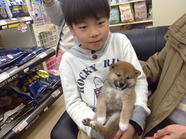 写真