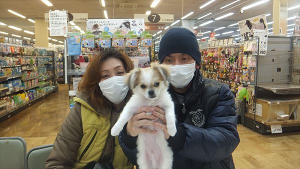 写真