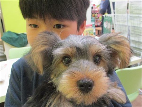 写真