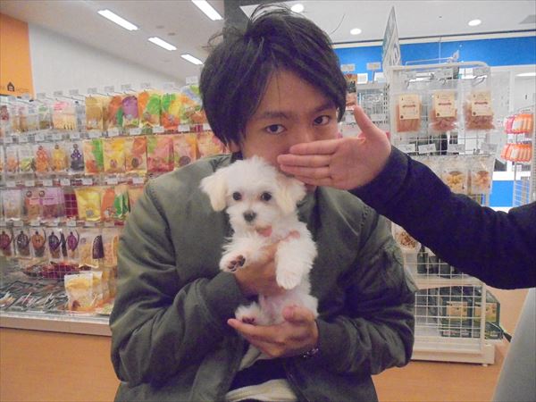 写真