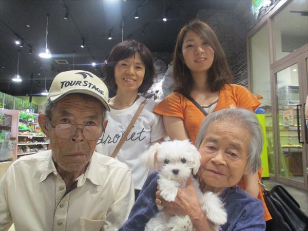 写真