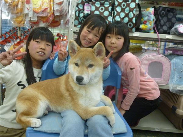 写真