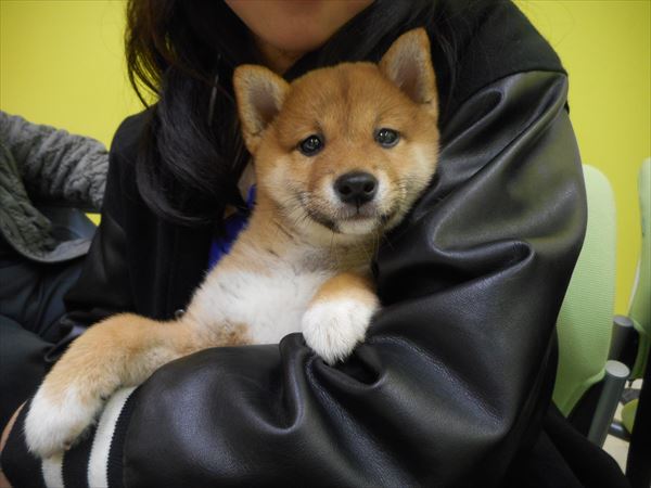 写真