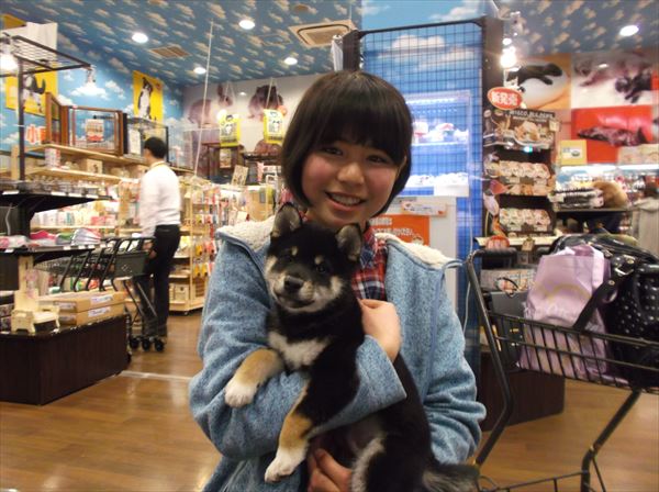 写真