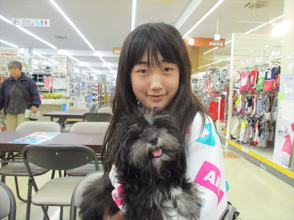 写真