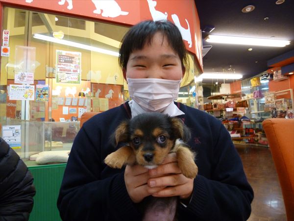 写真