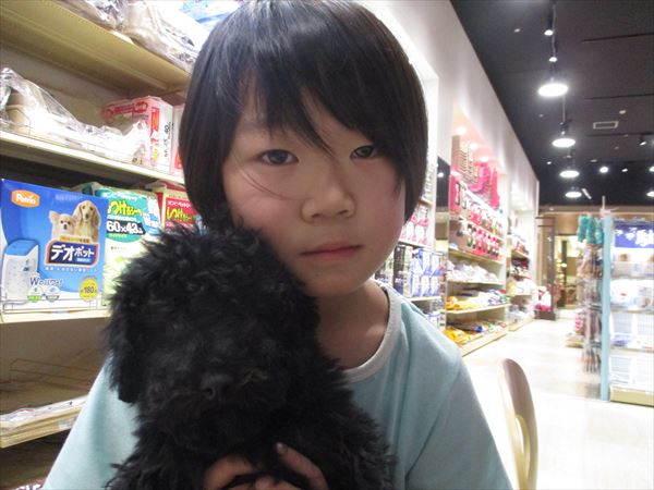 写真