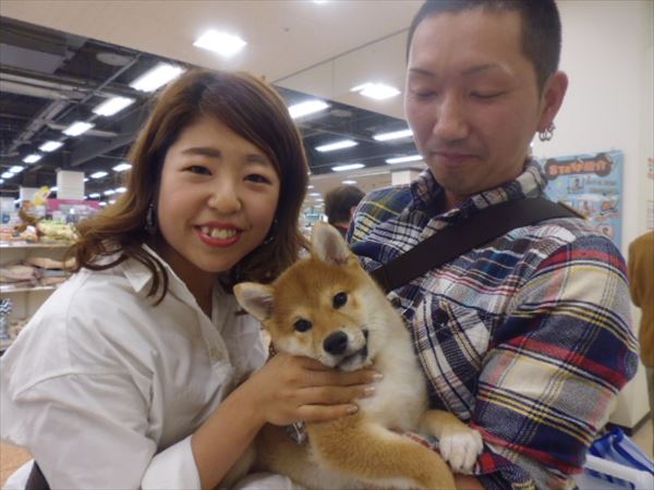 写真
