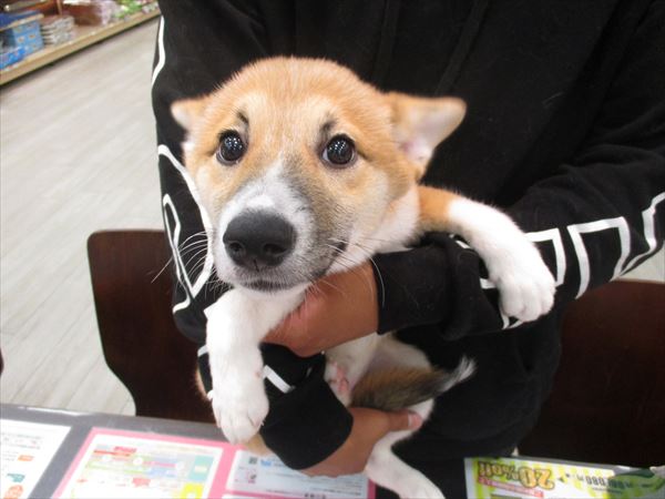 写真