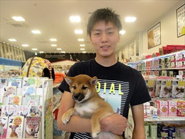 写真