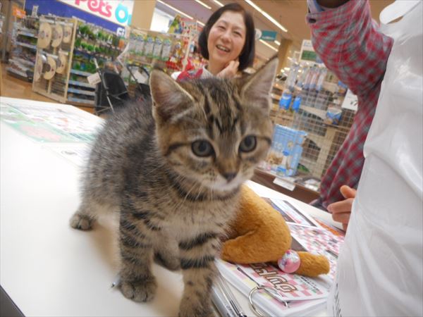 写真
