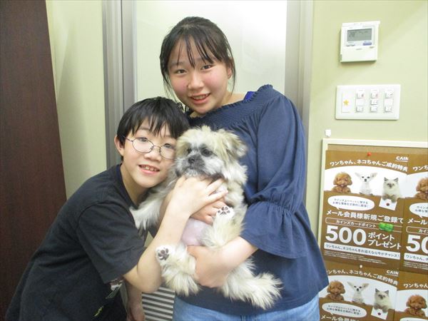 写真