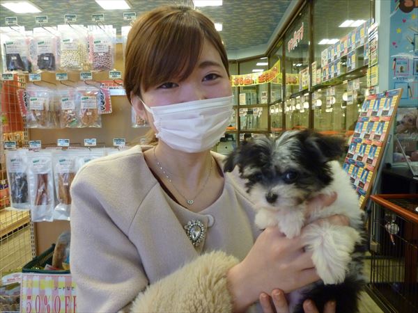 写真