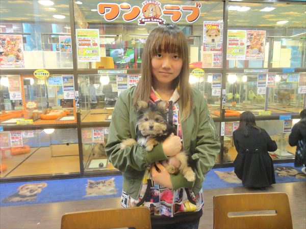 写真