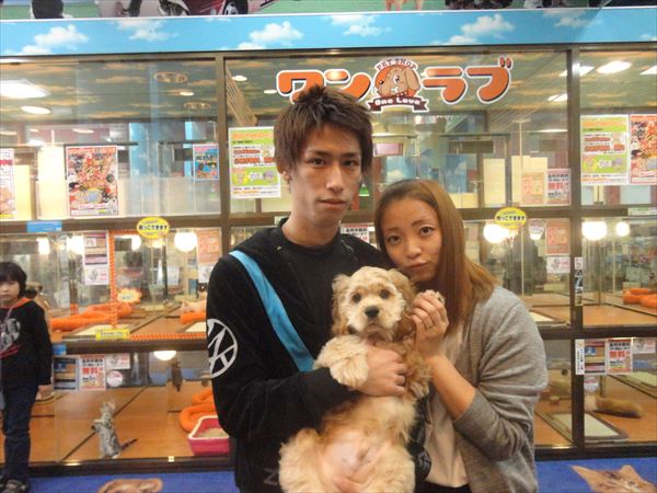 写真