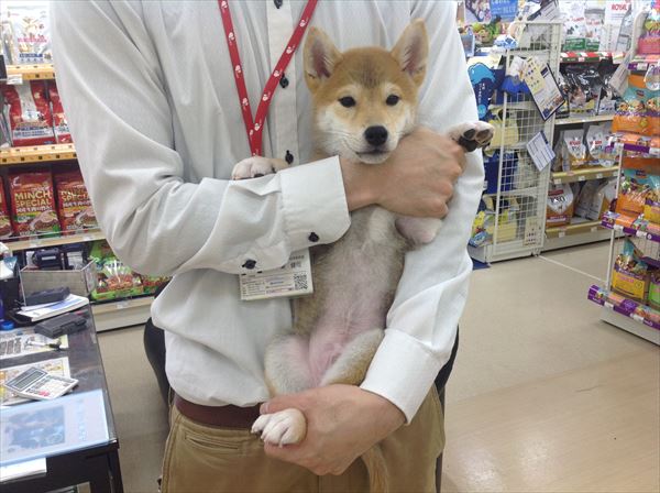 写真