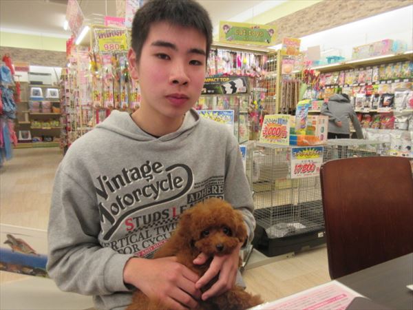 写真
