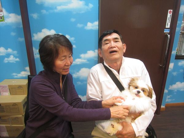 写真