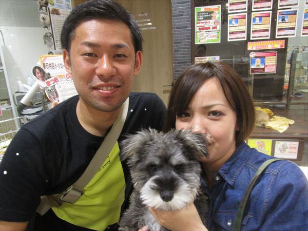 写真