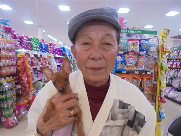写真