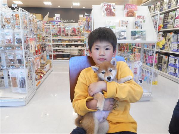 写真