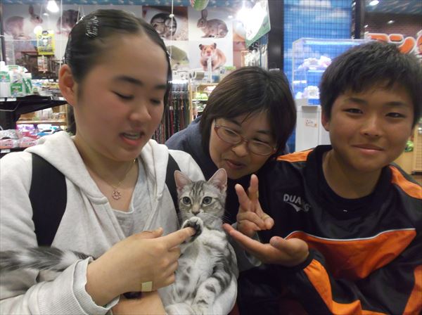 写真