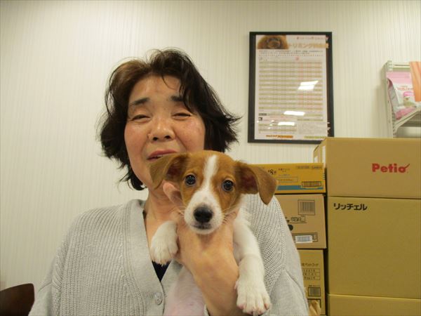 写真