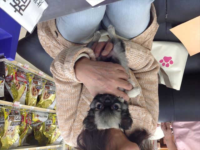 写真