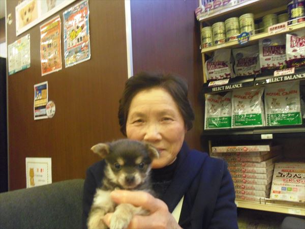 写真