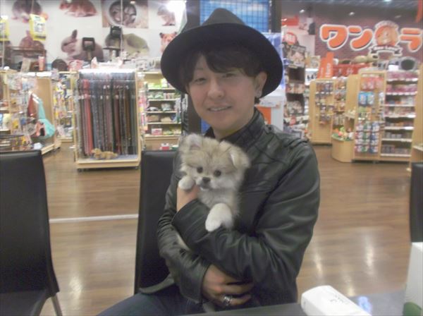写真