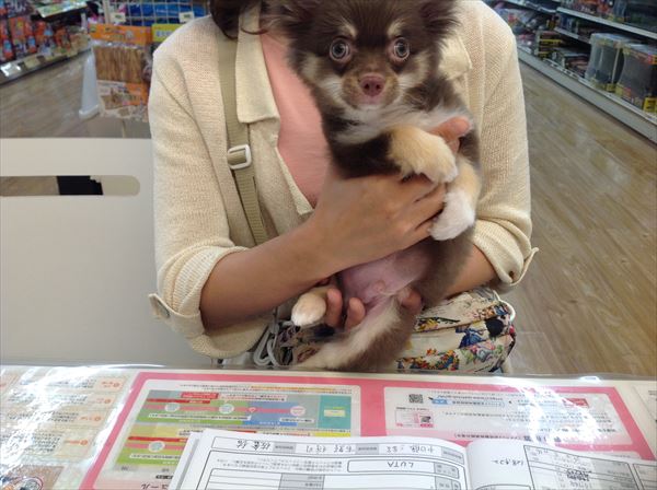 写真